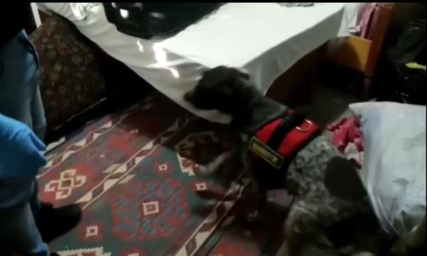 İzmir'de uyuşturucu operasyonu!
